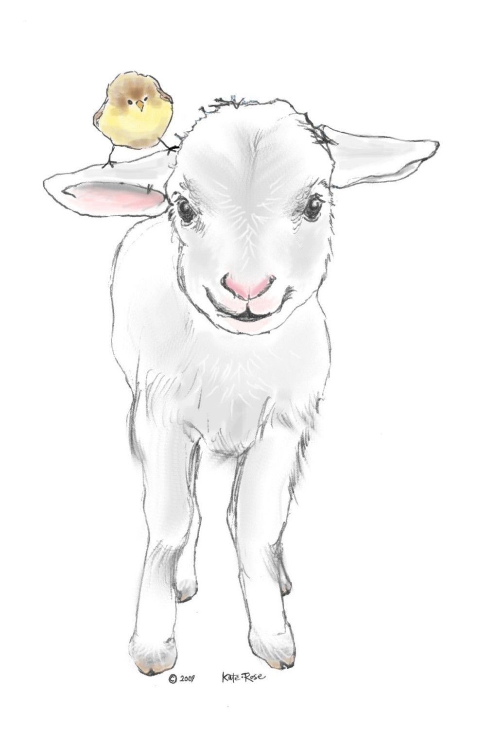 Рисунок овцы для срисовки