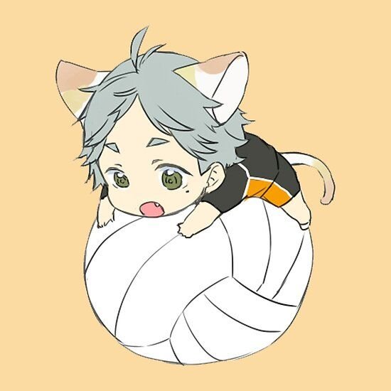 Хината шоё Чиби