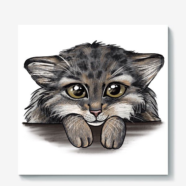 Манул зимой милый