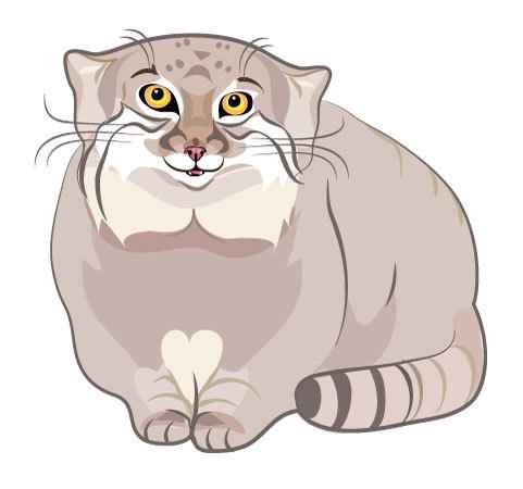 Поделка кот Манул