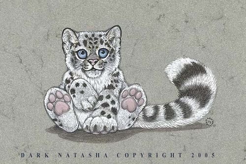 Снежный Барс котенок рисунок
