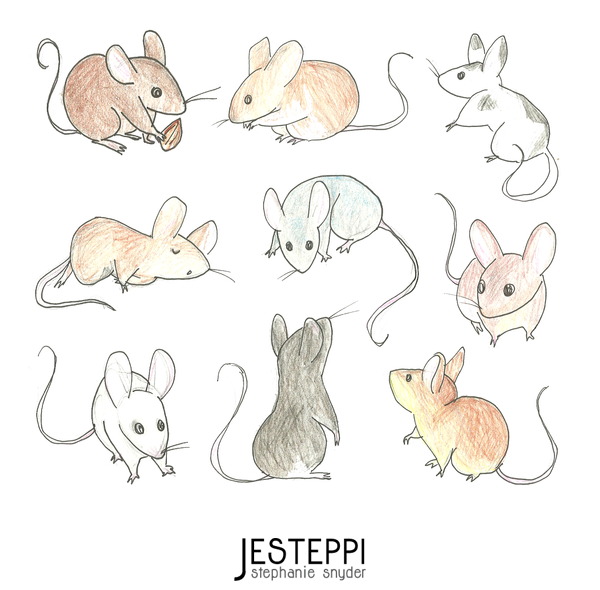 Мышь рисунок легкий