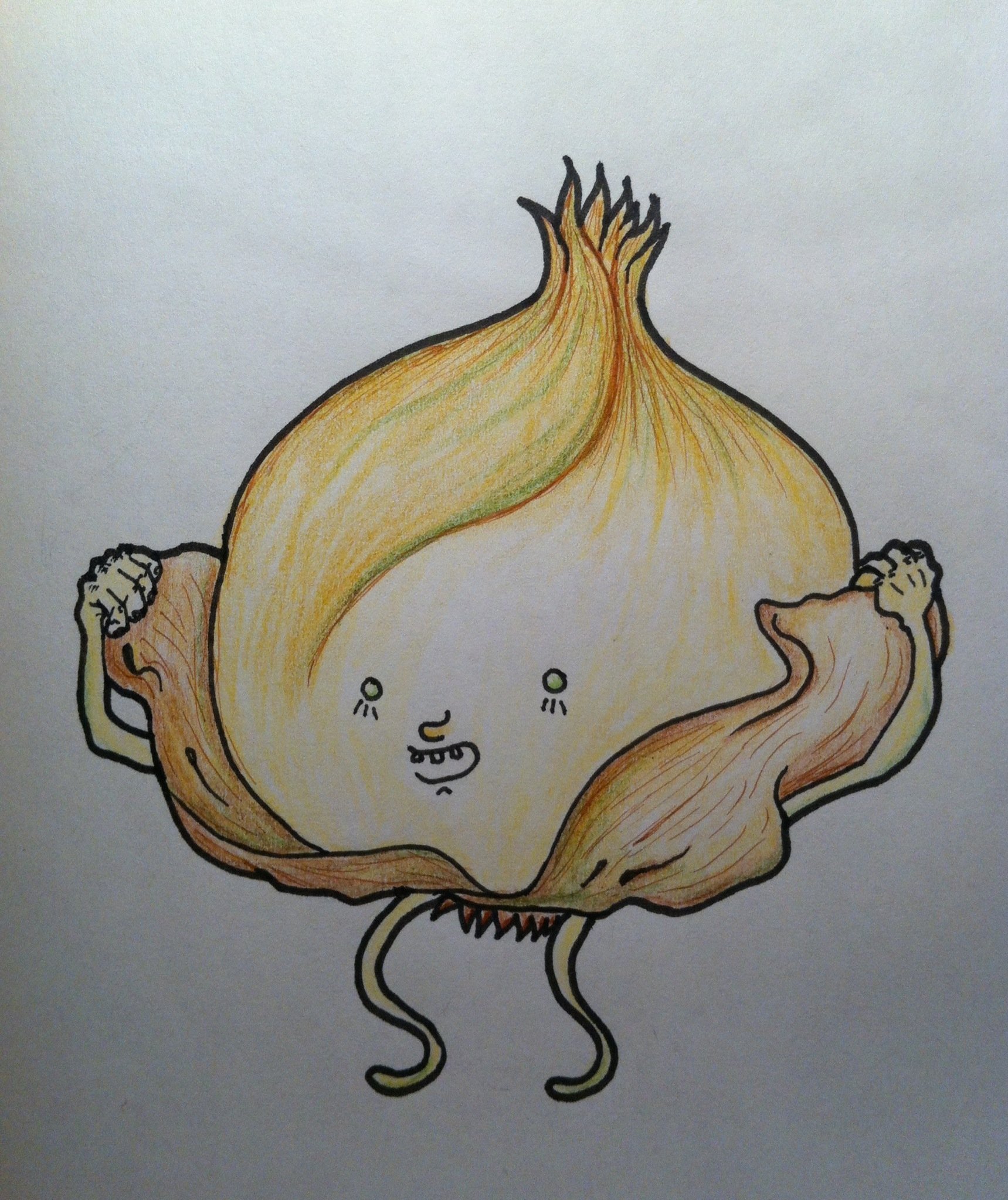 Зарисовка луковицы