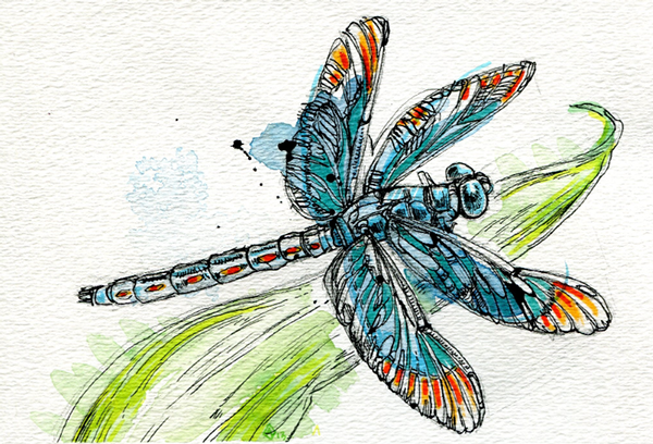 Стрекозы мультяшные