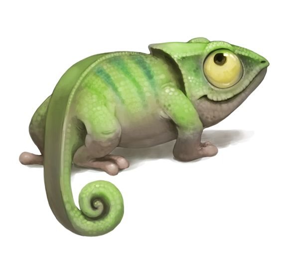 Хамелеон смешной