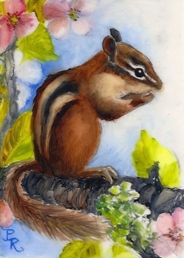 Бурундуки для рисования