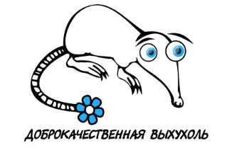 Выхухоль мозга