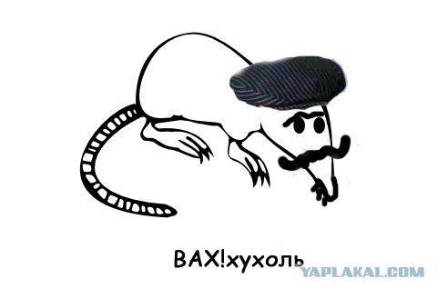 Выхухоль Мем