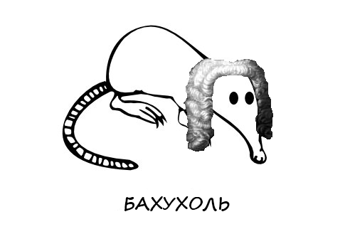 Выхухоль смешные картинки