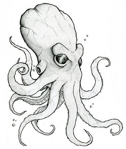 Кальмар эскиз