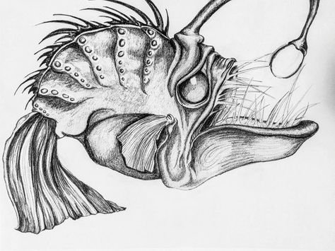 Удильщик эскиз