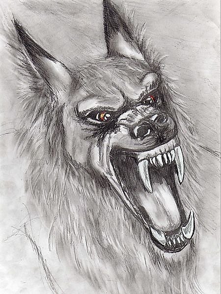 Страшная собака раскраска