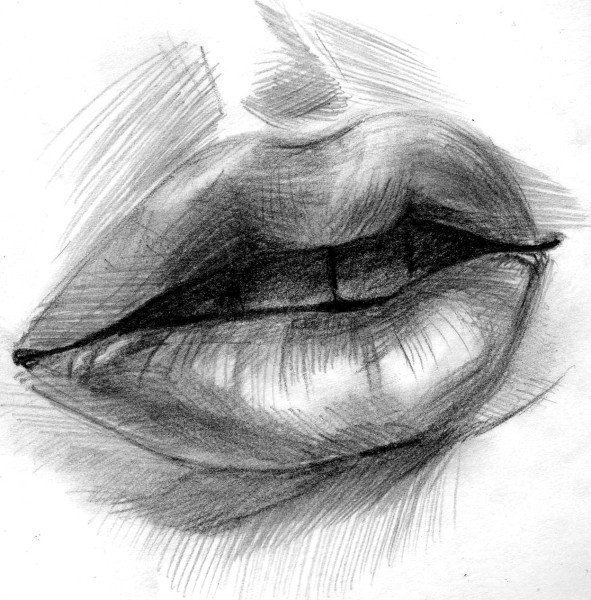 Рисунки карандашом