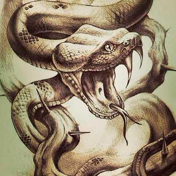 Змея тату эскиз