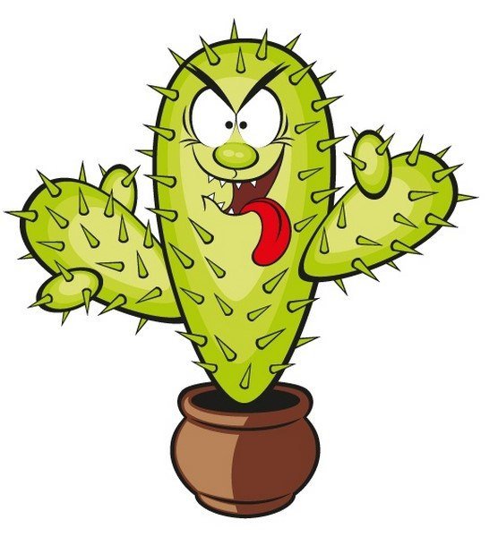 Злой Кактус