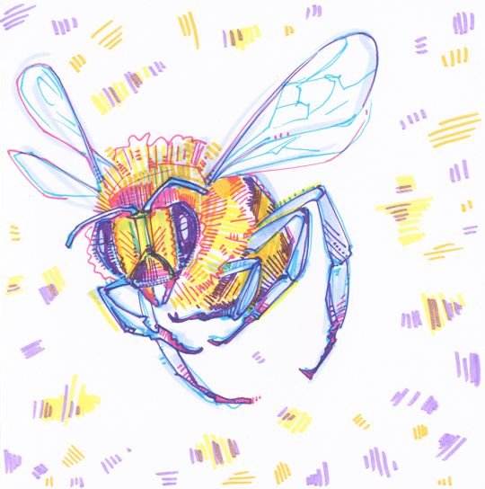 Стилизованные насекомые