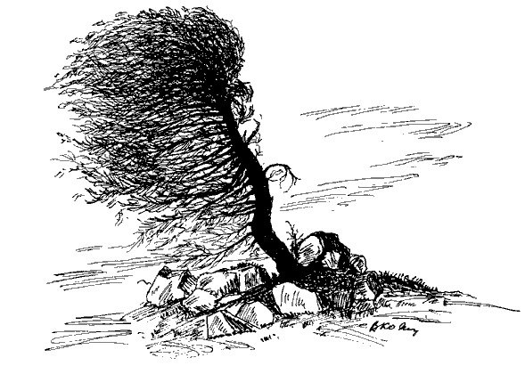 Ветер рисунок