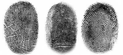Типы папиллярных узоров в криминалистике