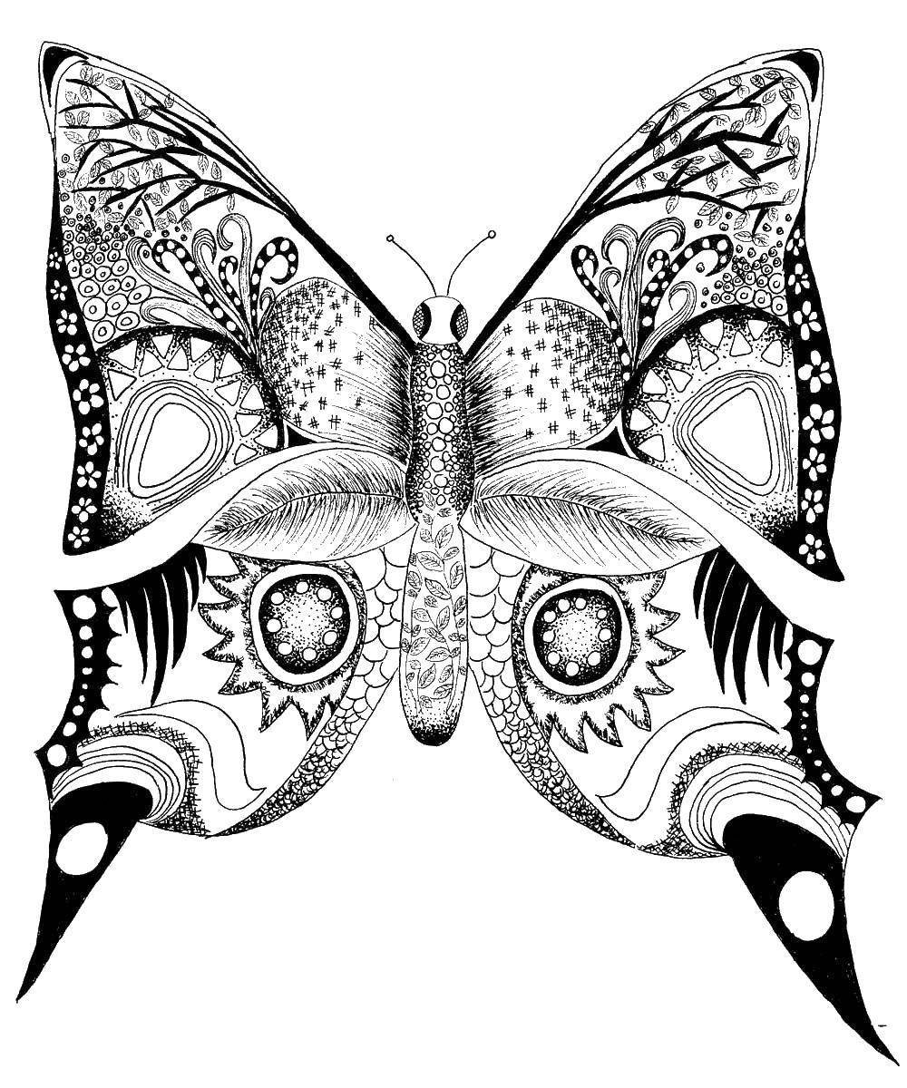 Раскраски для взрослых бабочки