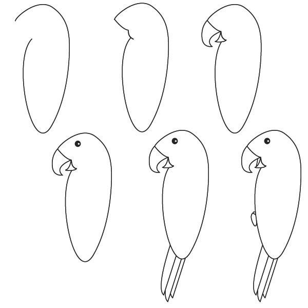 Попугай для рисования