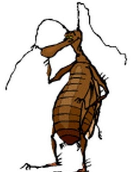 Таракан рисунок карандашом