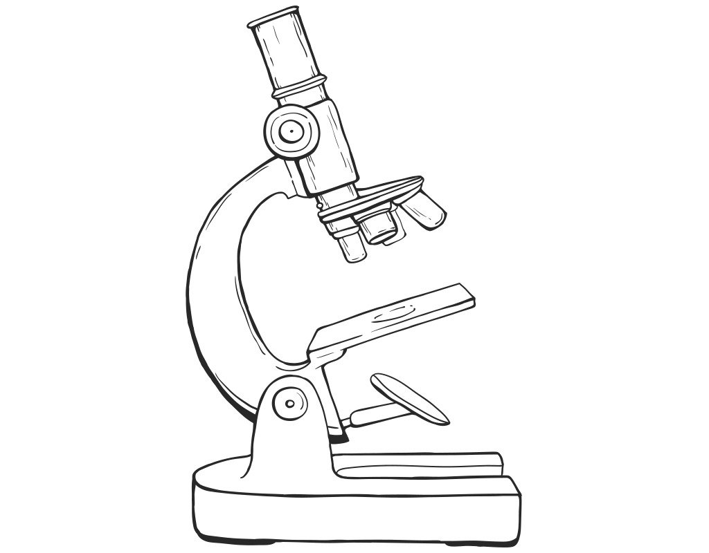 Рисунок микроскопа 5 класс