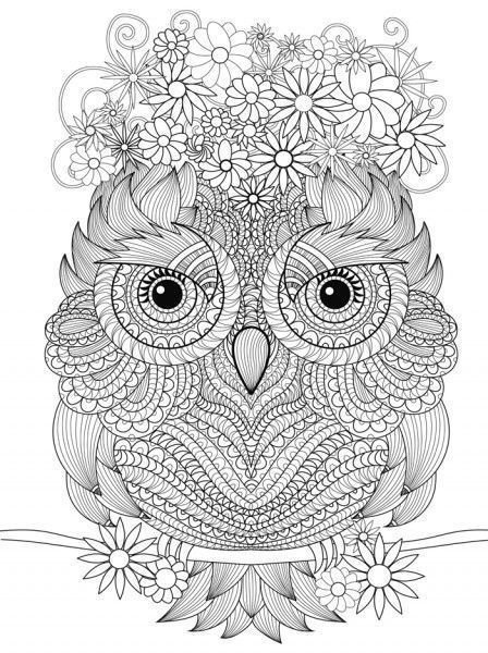 Сова распечатка