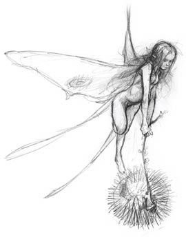 Мифические существа зарисовки