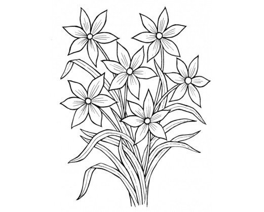 Эскиз розы карандашом пошагово