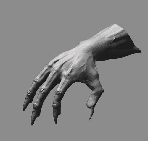 Царапины от когтей медведя