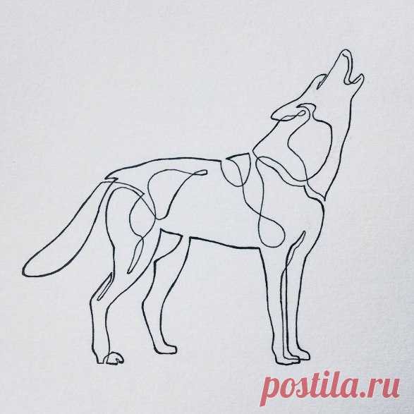 Волк одной линией