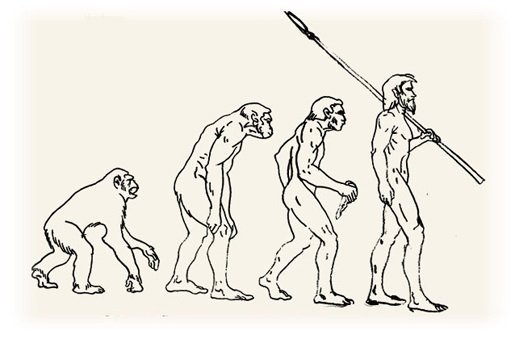 Эволюция первобытного человека