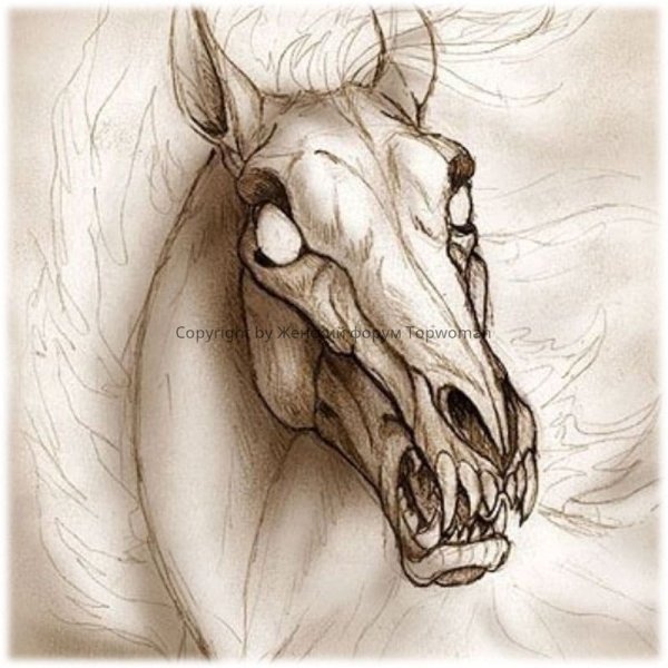 Двурог лошадь