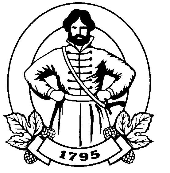 Степан Разин рисунок