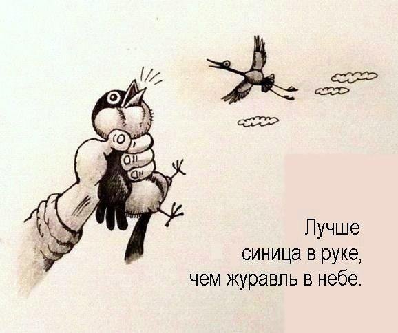 За двумя погонишься ни одного не поймаешь