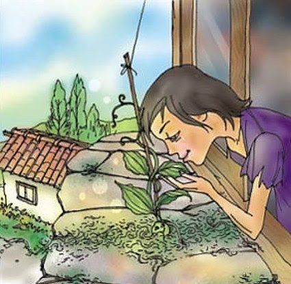 Г Х Андерсен пятеро из одного стручка