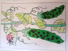 Рисунок к сказке пятеро из одного стручка