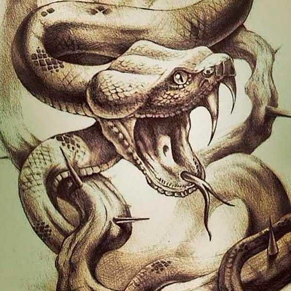 Змея Золотая Королевская Кобра