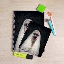 Рисунки в тетради