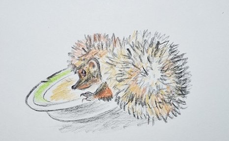 Ежик Чарушин