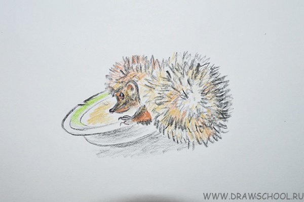 Евгений Чарушин страшный рассказ иллюстрации