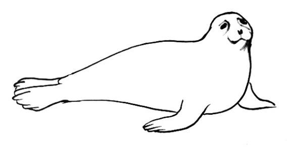 Трафарет тюлень для детей