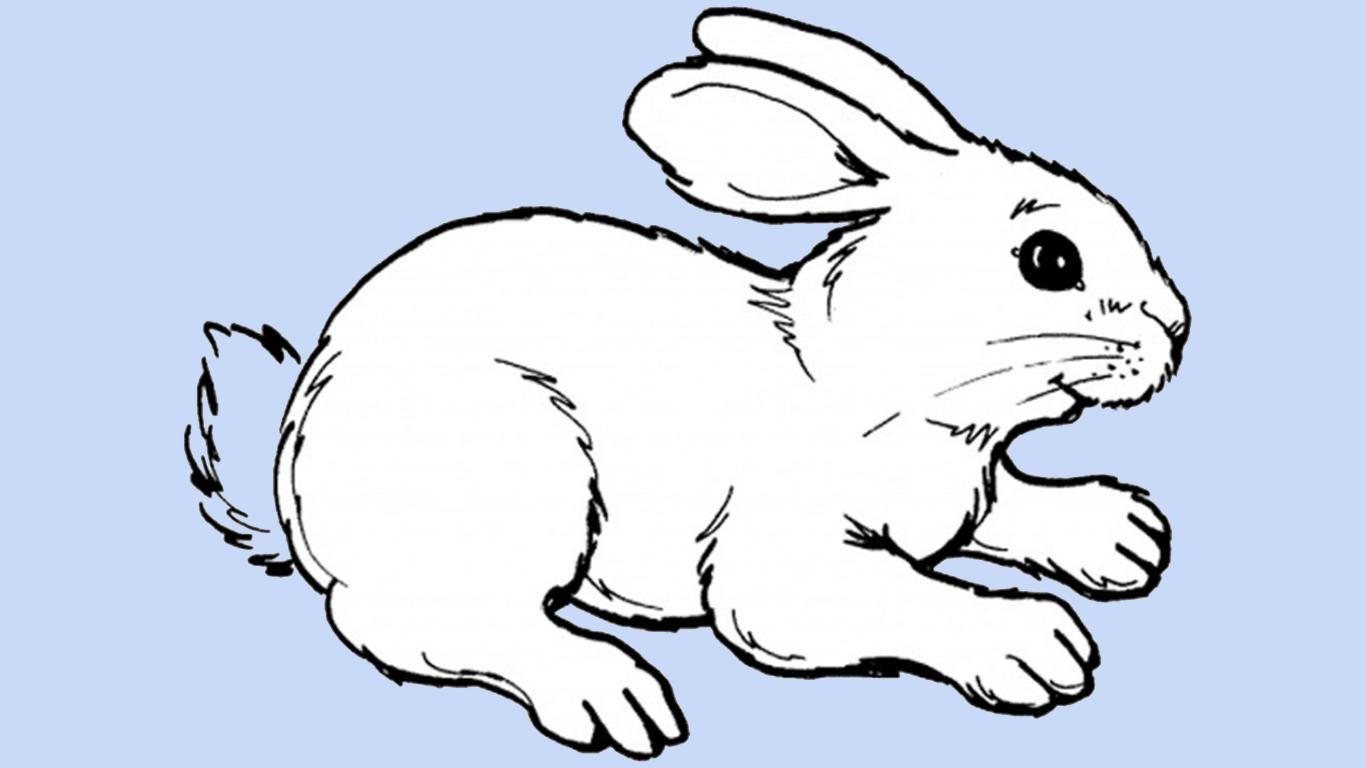 Рисунок зайца для детей трафарет