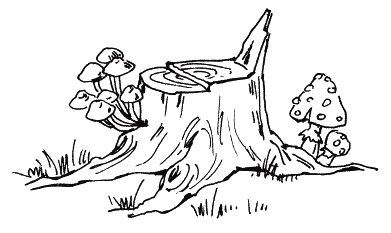 Топор рисунок