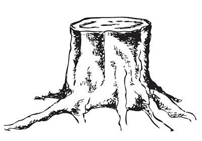 Рисунок черно белый пень (33 фото)