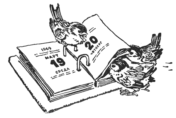 Календарь рисунок