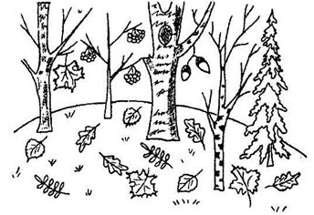 Раскраска Золотая осень