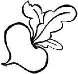 Раскраска. Репка