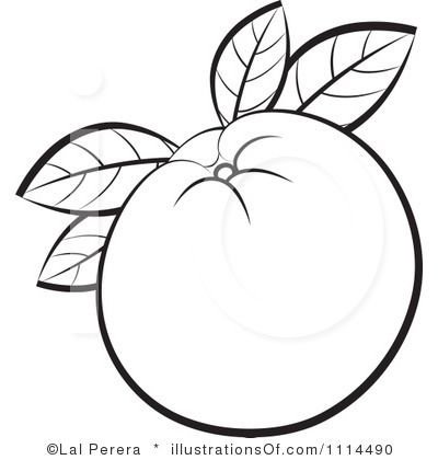 Рисунок мандарин черно белый (39 фото)