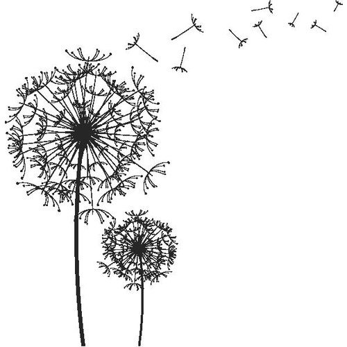 Одуванчик рисунок черно белый (48 фото)